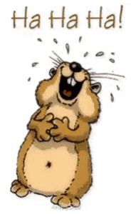 Gif animé rire Tic et Tac